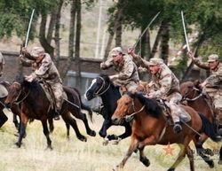 骑兵连在线观看,重温经典战火岁月 第1张 骑兵连在线观看,重温经典战火岁月 第1张