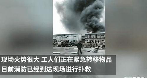 哈尔滨爆料事件始末视频 第3张 哈尔滨爆料事件始末视频 第3张